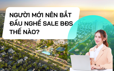 Người mới nên bắt đầu nghề sale BĐS thế nào?