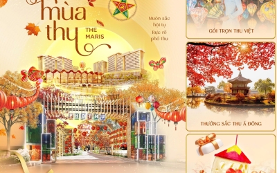 PHỐ THU MARIS | MUÔN SẮC HỘI TỤ, RỰC RỠ PHỐ THU 